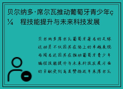 贝尔纳多·席尔瓦推动葡萄牙青少年编程技能提升与未来科技发展