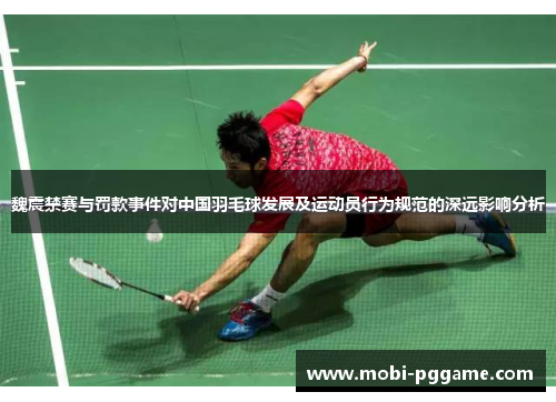 魏震禁赛与罚款事件对中国羽毛球发展及运动员行为规范的深远影响分析