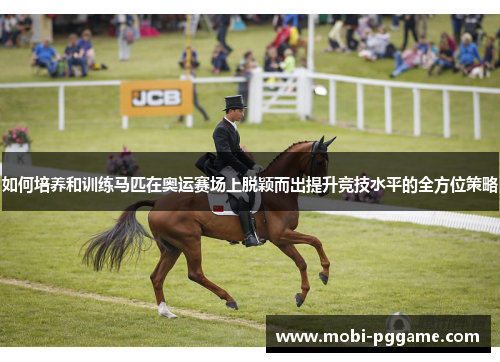 如何培养和训练马匹在奥运赛场上脱颖而出提升竞技水平的全方位策略