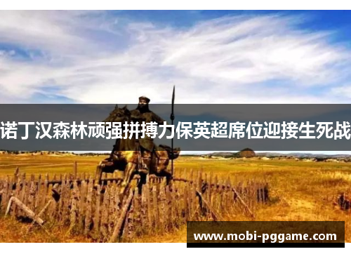 诺丁汉森林顽强拼搏力保英超席位迎接生死战