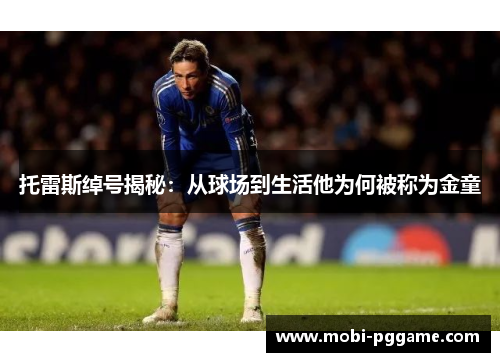 托雷斯绰号揭秘：从球场到生活他为何被称为金童